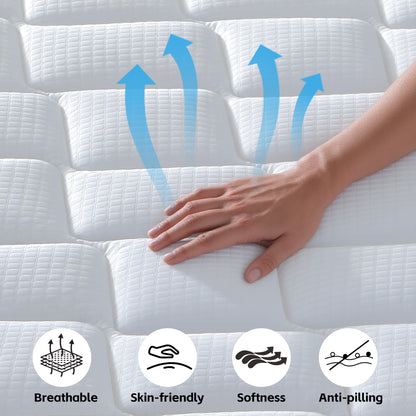 24849816
