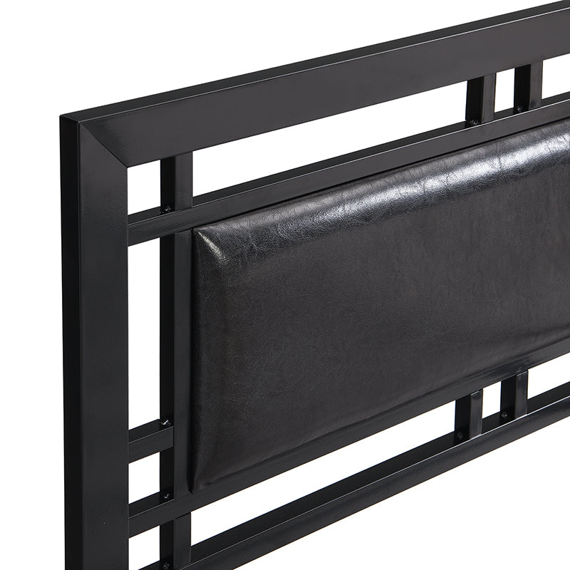 23799553