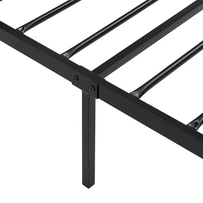 23799555